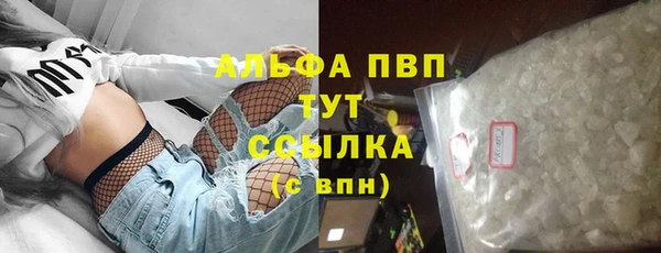 ПСИЛОЦИБИНОВЫЕ ГРИБЫ Арсеньев