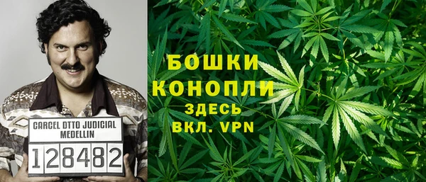 ПСИЛОЦИБИНОВЫЕ ГРИБЫ Арсеньев