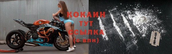 гашик Нягань