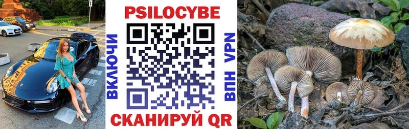 МЕГА   хочу наркоту  Вязники  Псилоцибиновые грибы мухоморы 