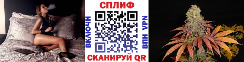 блэк спрут как зайти  Вязники  Каннабис Ganja  как найти закладки 